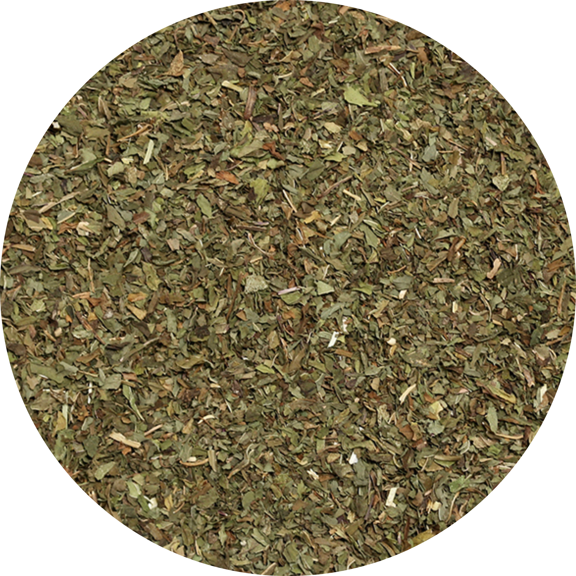 Plaisir Bio Pfefferminze Tee Pyra Pack koffeinfrei