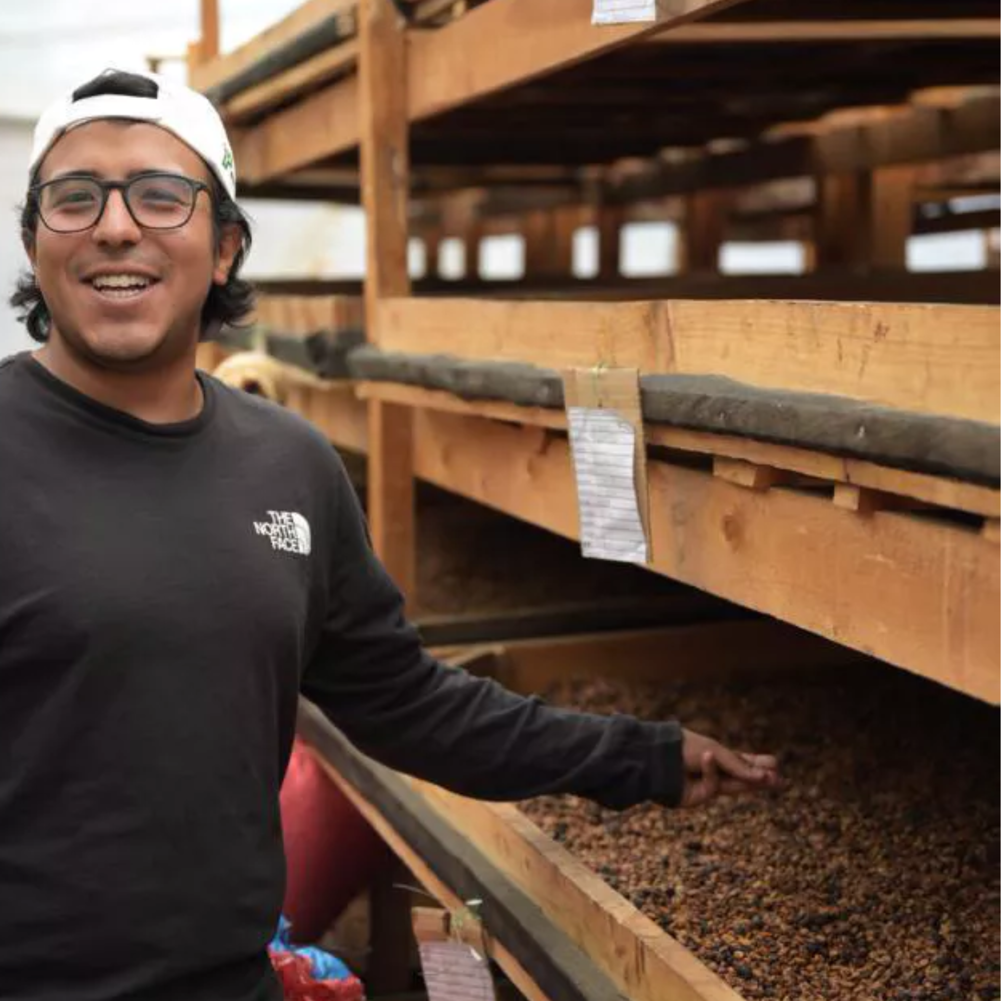 Mondo del Caffè Kaffees Guatemala Finca Gascon Geisha Kaffee limitiert