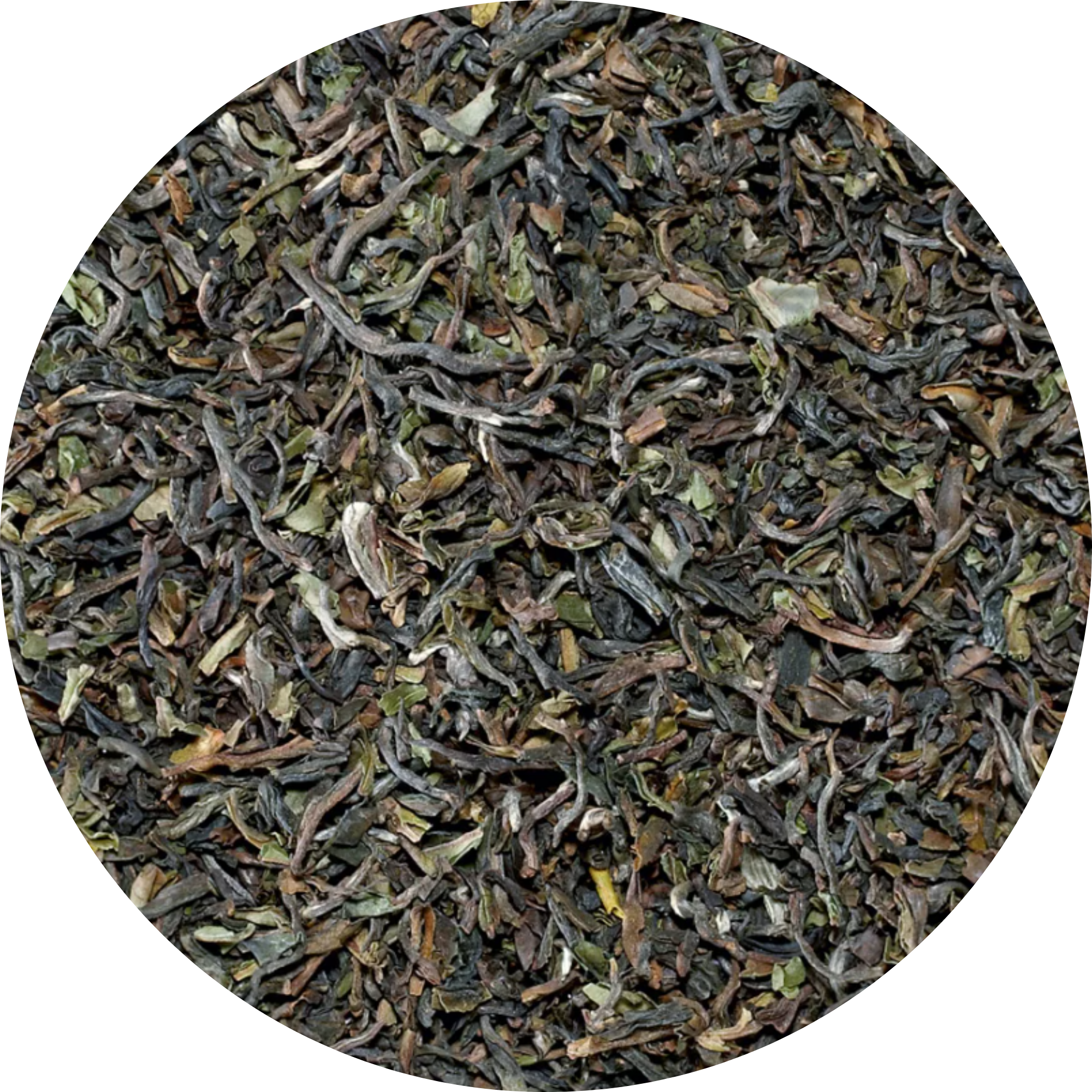 Plaisir Bio Darjeeling Seeyok Schwarztee First Flush
