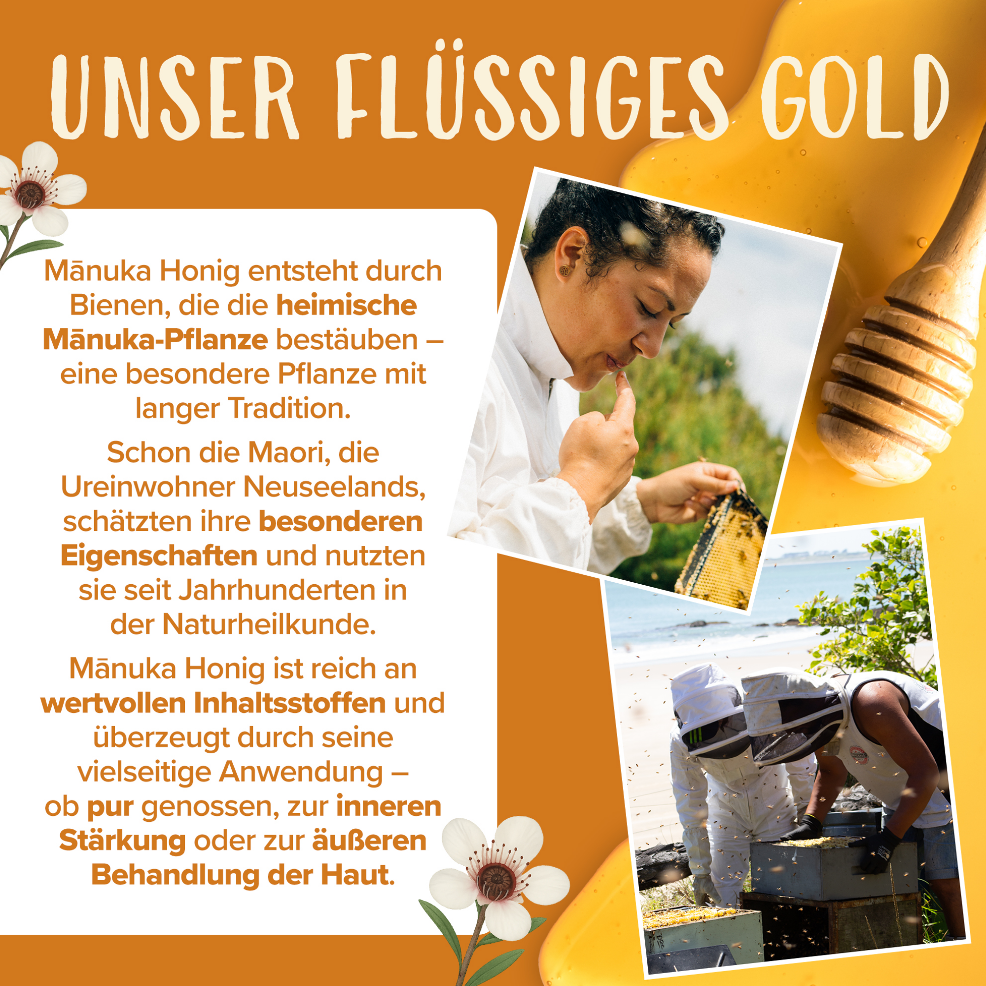 Mondo del Caffè Feinkost Manuka-Honig MGO 1000+ Glas roh