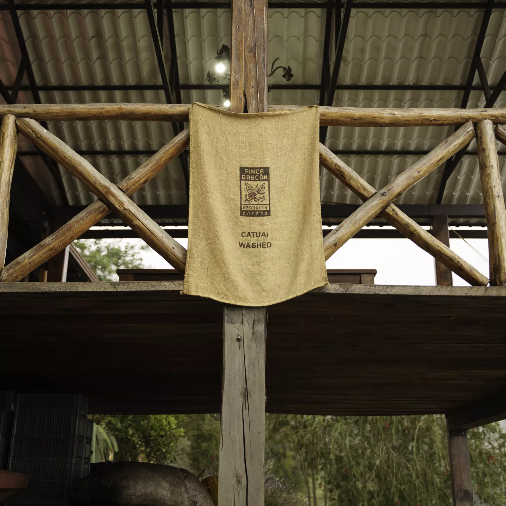 Mondo del Caffè Kaffees Guatemala Finca Gascon Geisha Kaffee limitiert