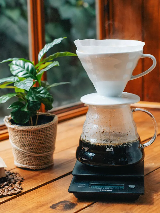 Hario V60 02 Dripper Keramikfilter weiß 3-4 Tassen