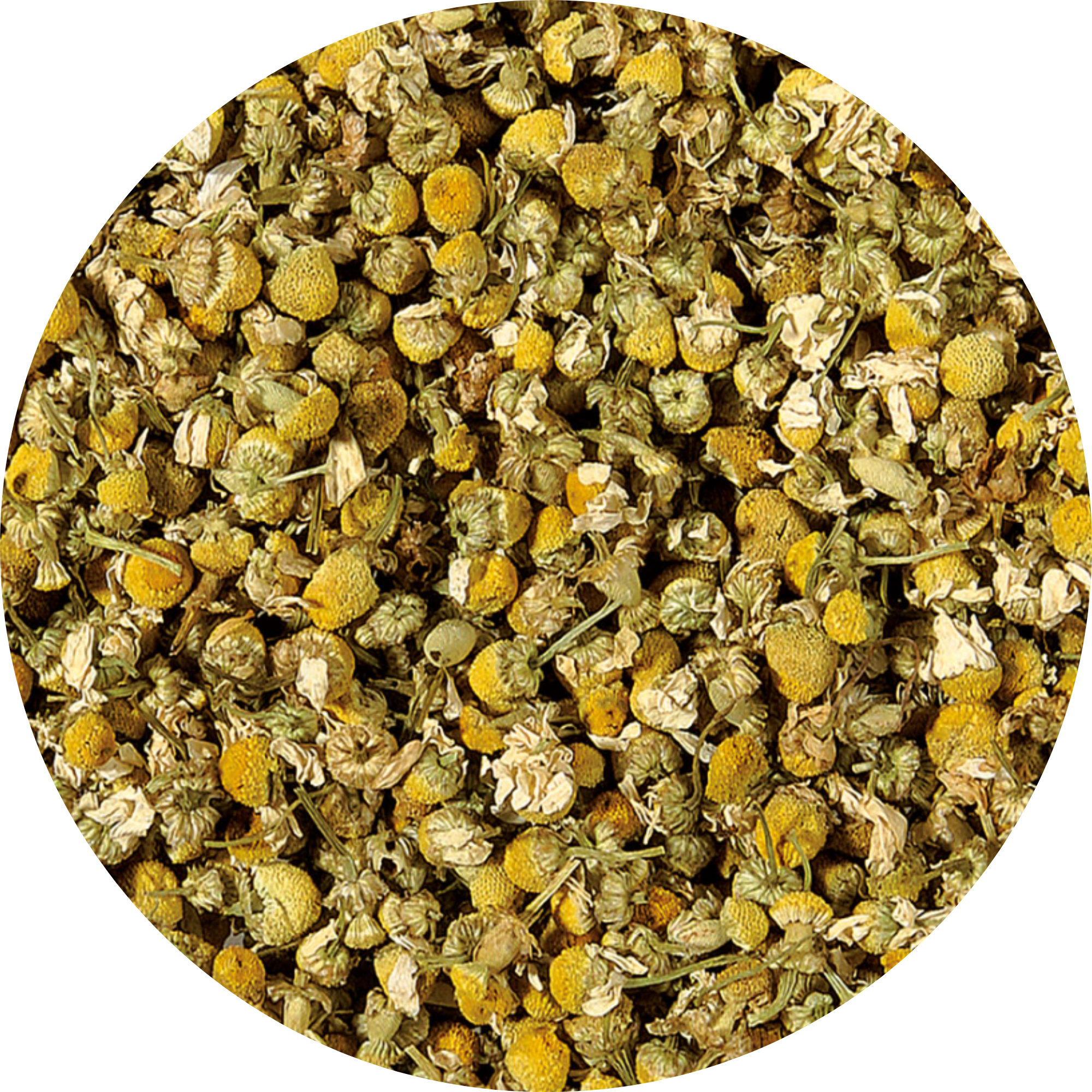 Plaisir Bio Kamille Tee Pyra Pack koffeinfrei