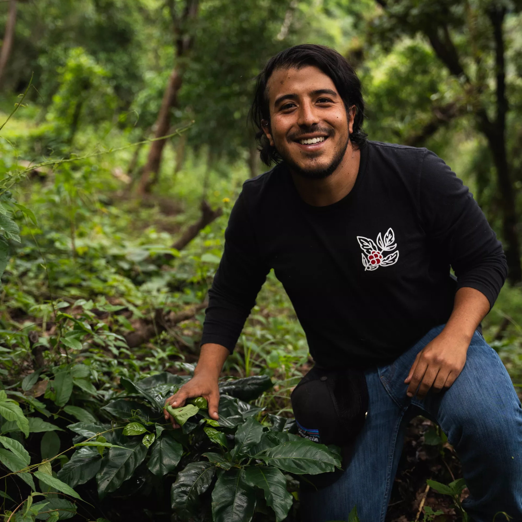 Mondo del Caffè Kaffees Guatemala Finca Gascon Geisha Kaffee limitiert