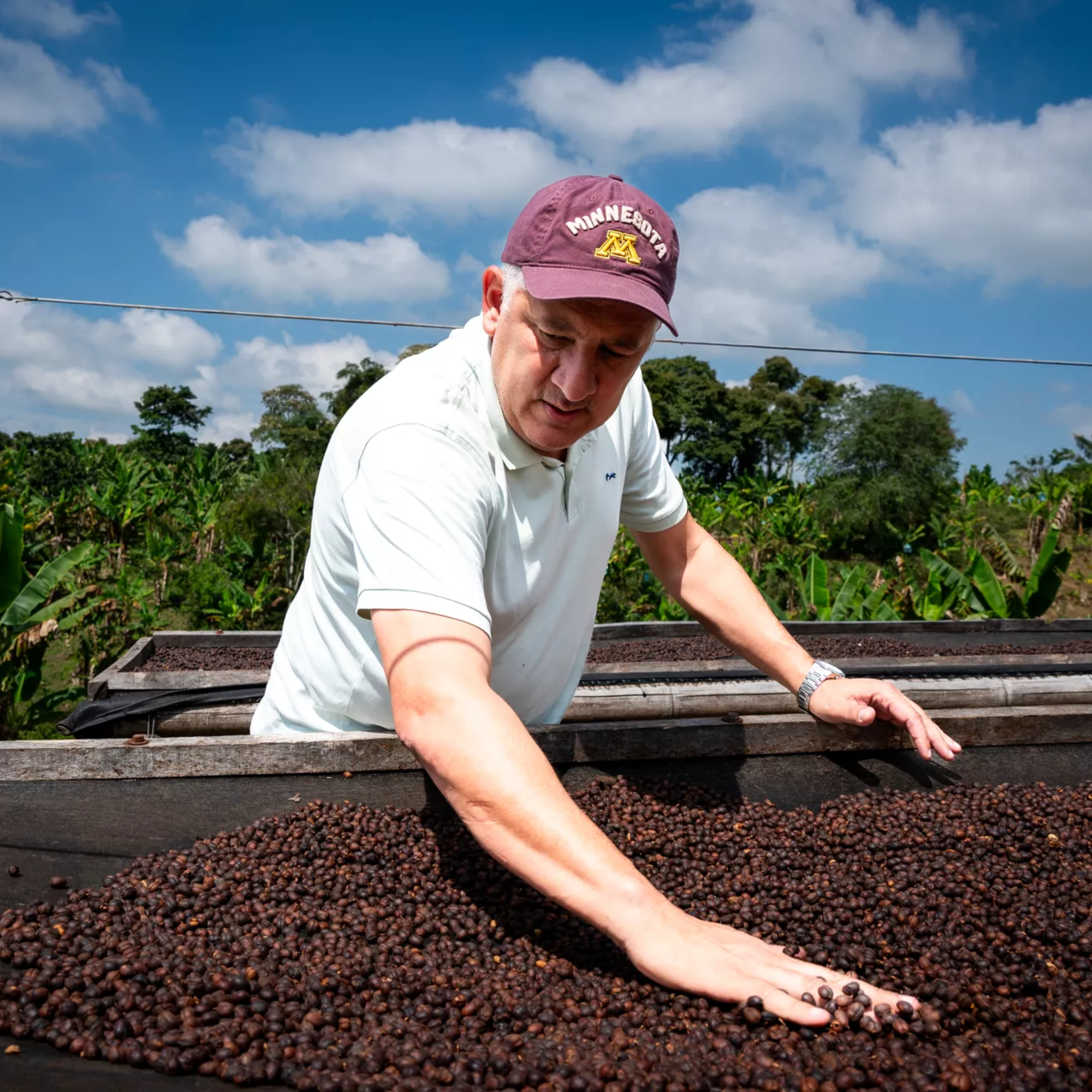 Kolumbien Pink Bourbon Kaffee Buenos Aires 200 g Dose