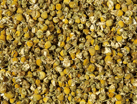 Plaisir Kamille Blüten Bio Tee lose 100 g koffeinfrei