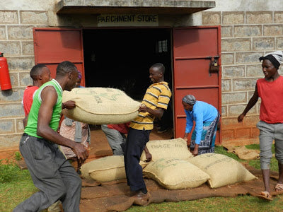 Caligo Nyeri Kenia Filterkaffee 250g Bohne beerig