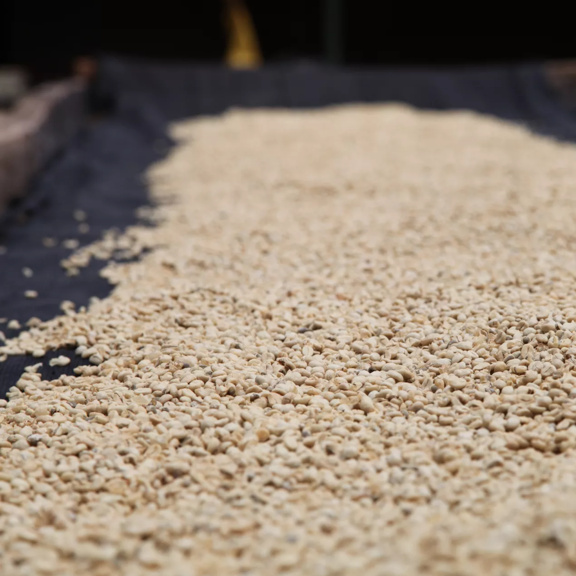 Mondo del Caffè Kenia Oreti Kaffee 200g Alu-Tin