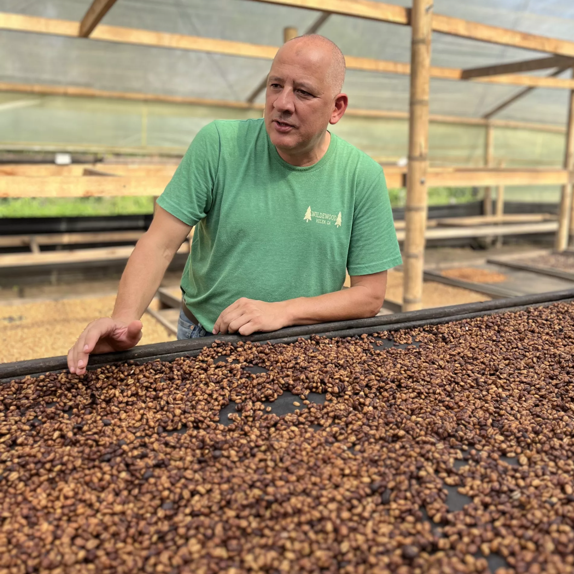 Kolumbien Pink Bourbon Kaffee Buenos Aires 200 g Dose