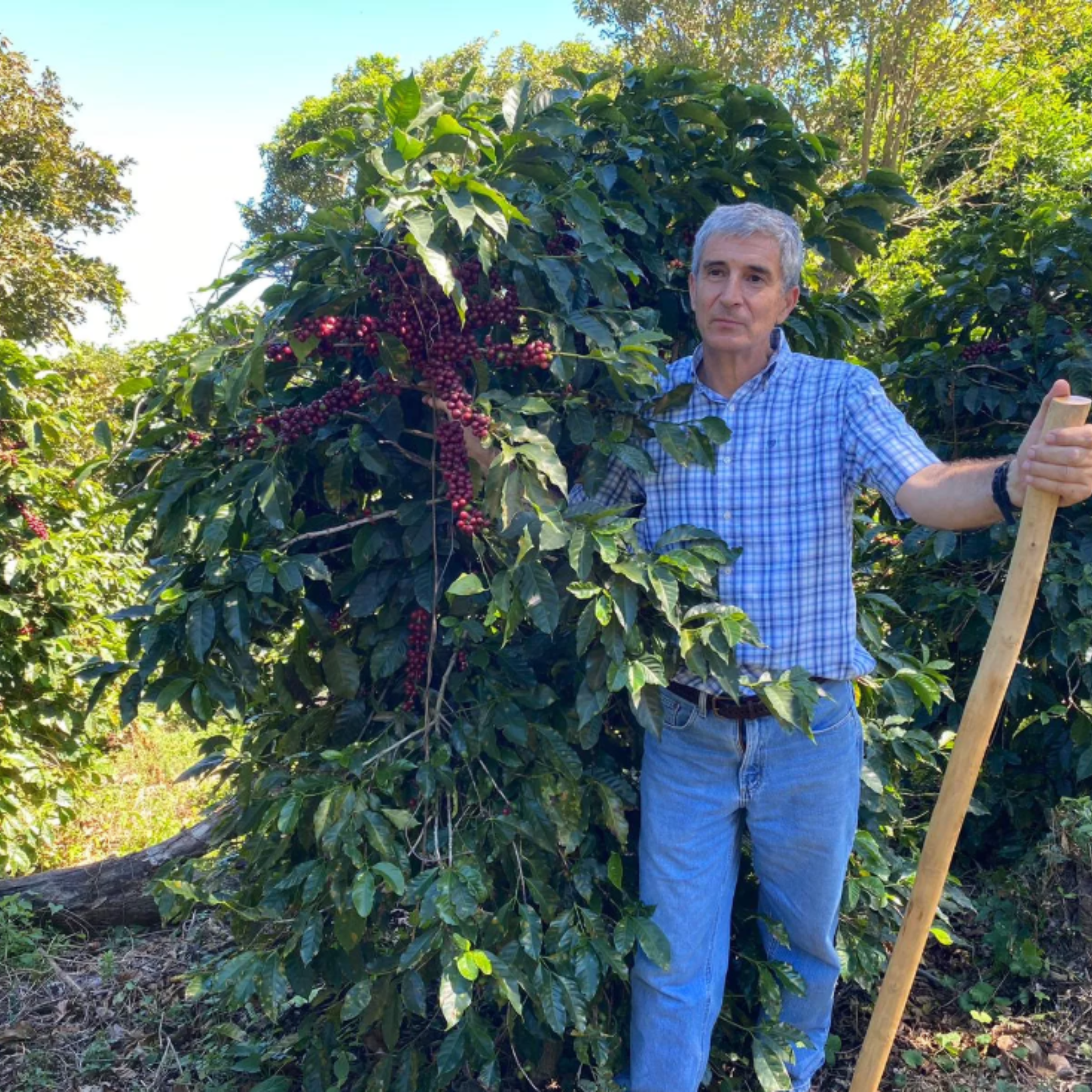 Mondo del Caffè El Salvador Kaffee 1kg ganze Bohne