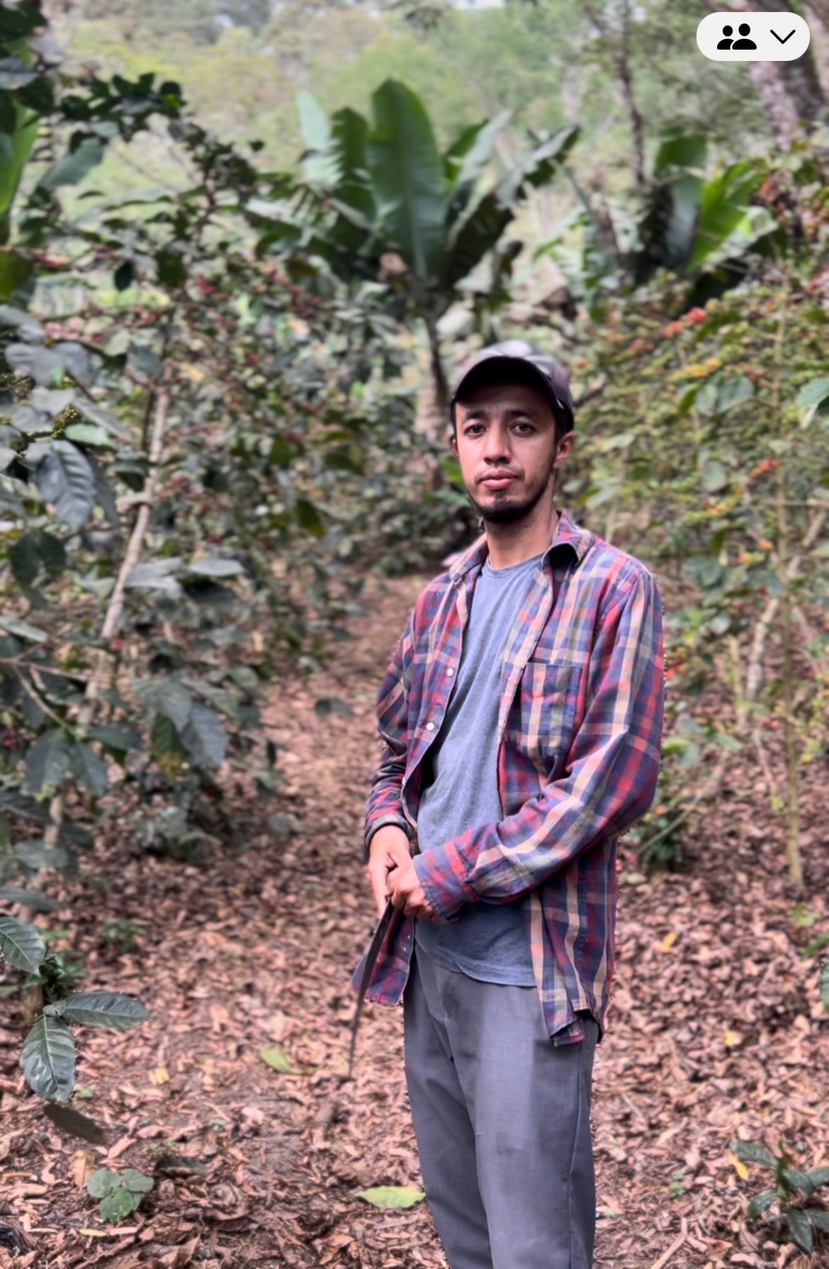 Caligo PROJEKTKAFFEE Finca Celia Filterkaffee 250g mittelkräftig