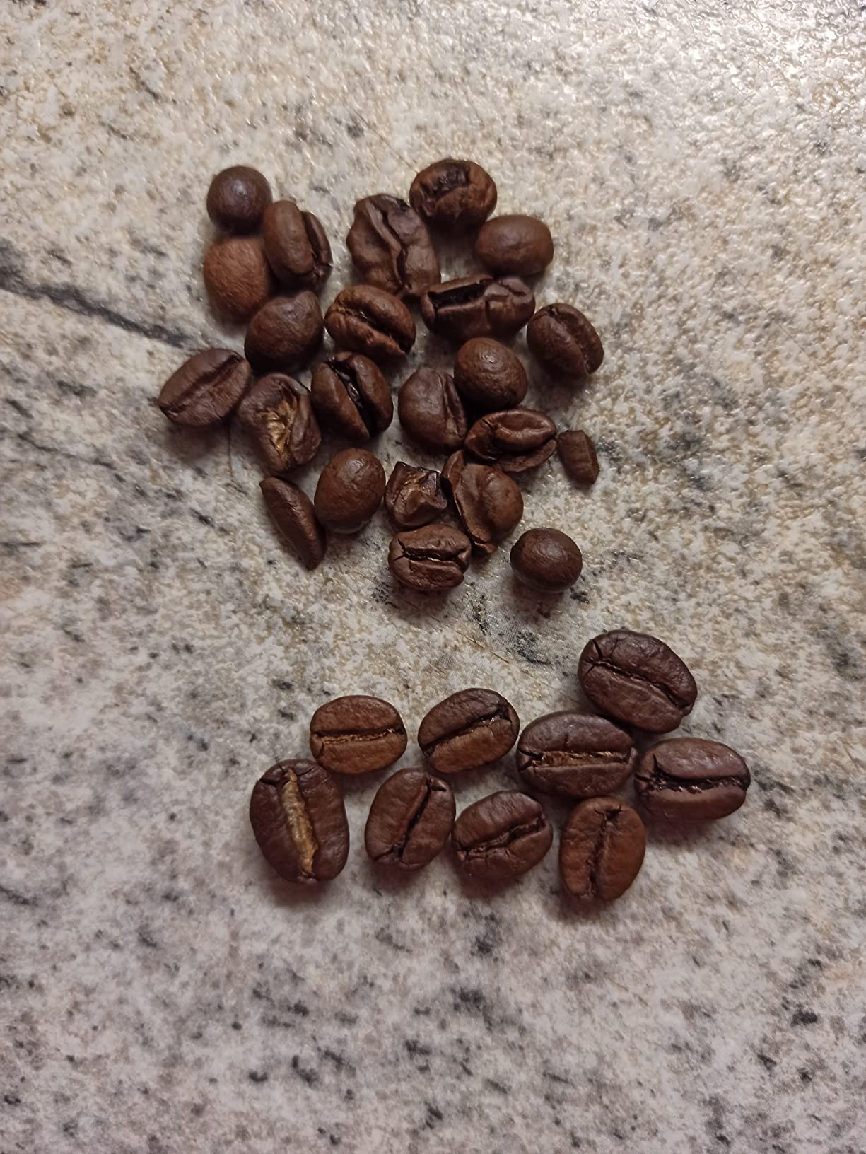 Schwiizer Schüümli Crema Mild Kaffeebohnen 1 kg Arabica