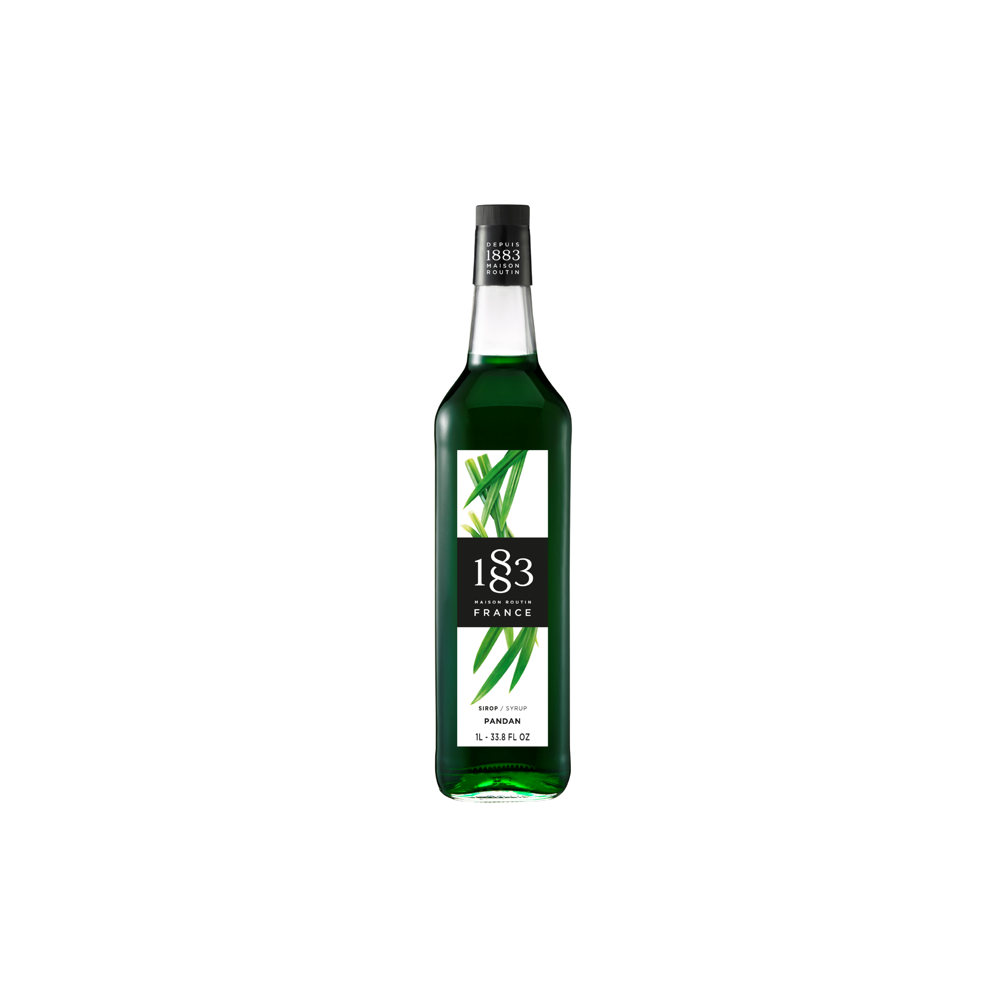 Maison Routin 1883 Pandan Sirup für Kaffee Drinks
