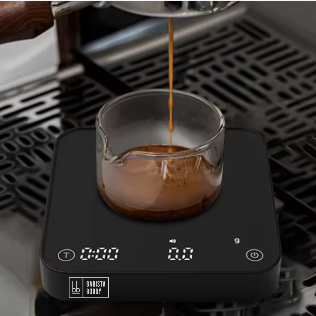 Barista Buddy Feinwaage digital 0,1g Timer USB