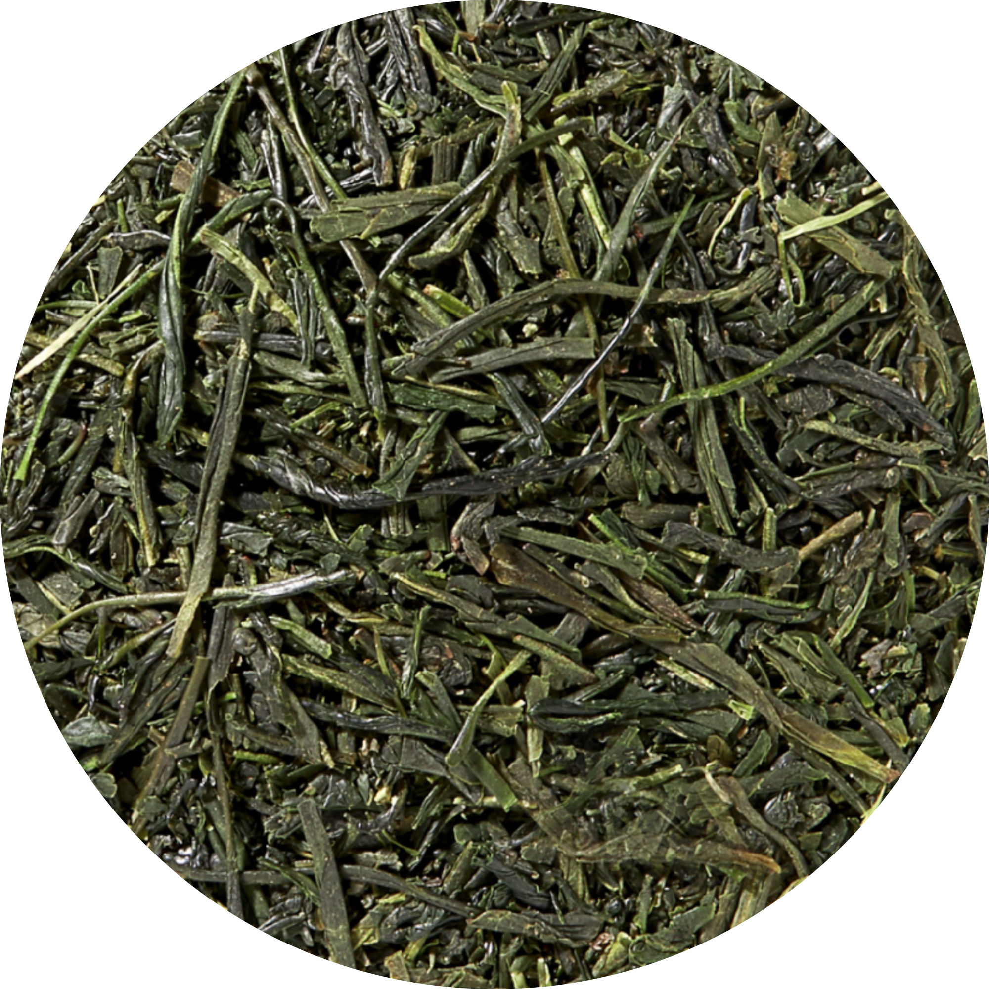 Mondo del Caffè Feinkost Sencha Uchiyama Grüntee Bio Pyra