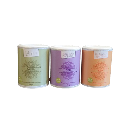 Plaisir Chai Tee Probierset Bio vegan 3 Sorten